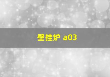 壁挂炉 a03